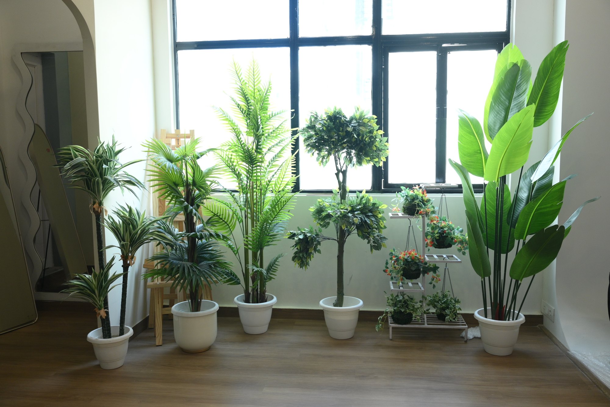 Botanicals and potted plants