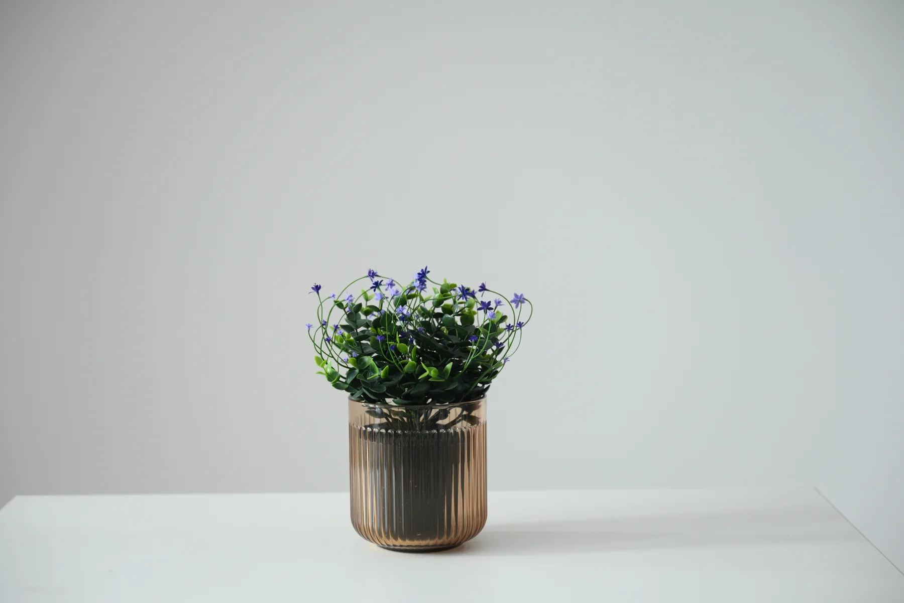 Smoky glass floral pot with purple flowers available as a studio prop